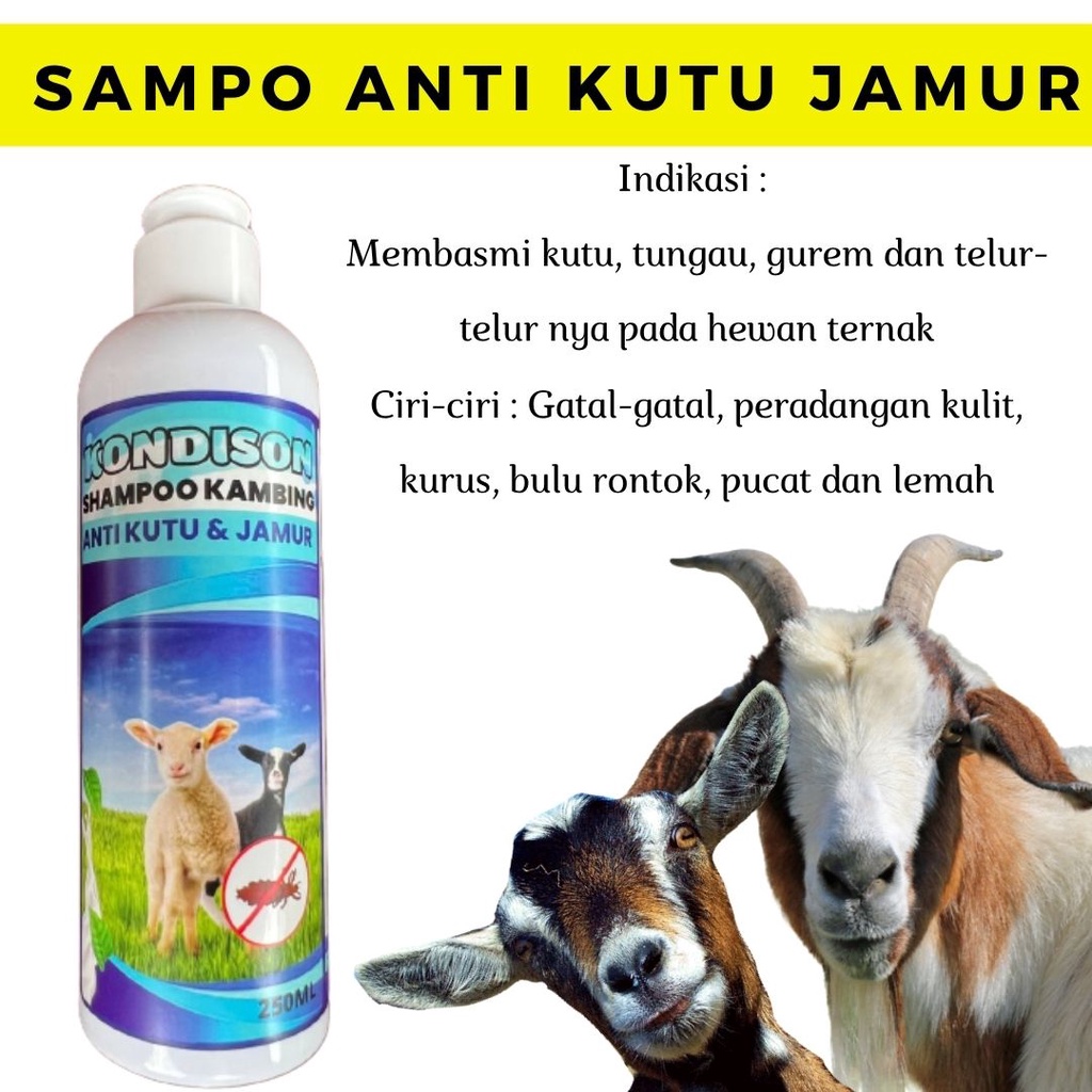 Shampo Sampo Anti kutu Jamur Tungau Gurem Pada Sapi Dan Kambing kerbau Domba FEZONE