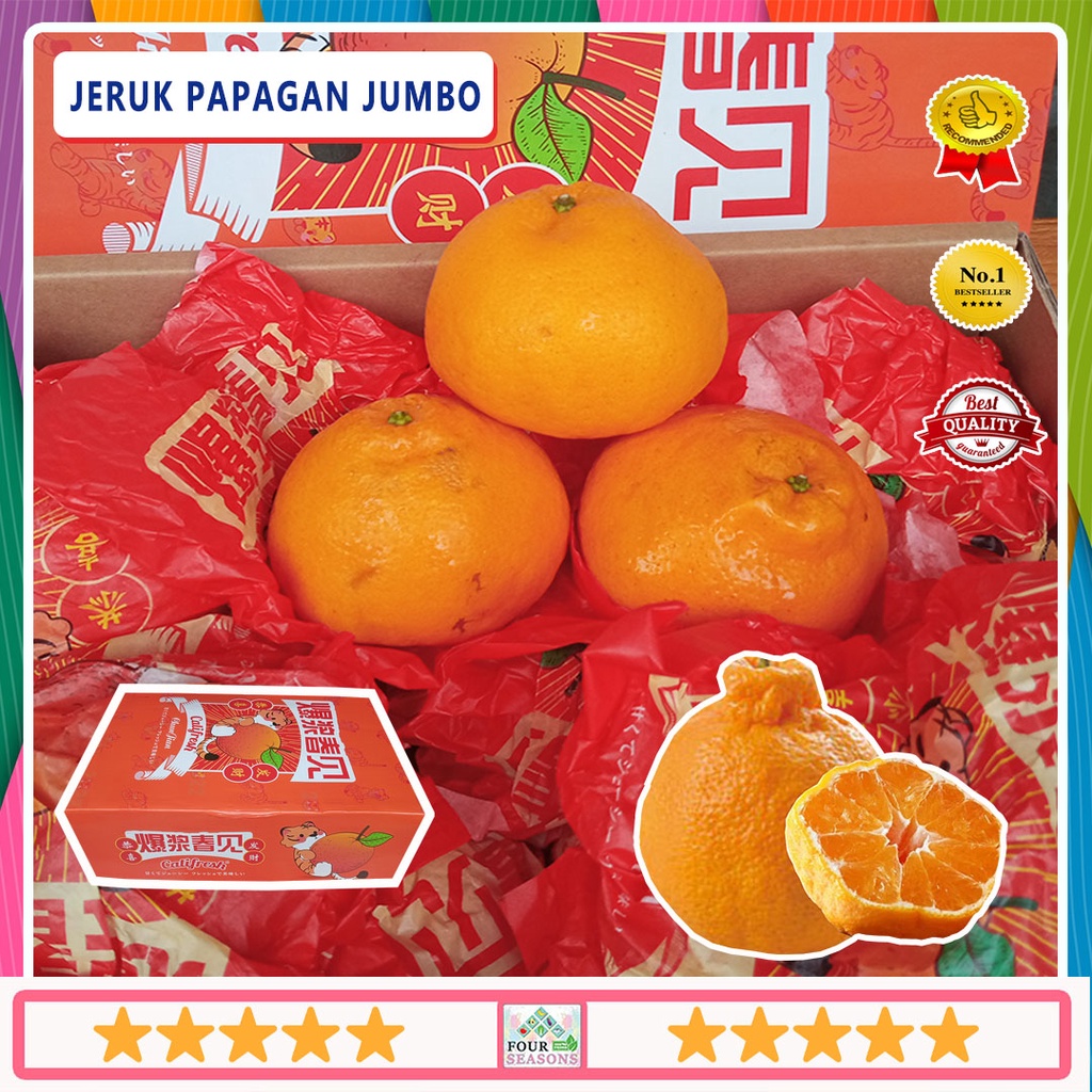 

[RAJA JERUK] JERUK PAPAGAN JUMBO GIFT BOX SUPER MANIS BUAH IMLEK
