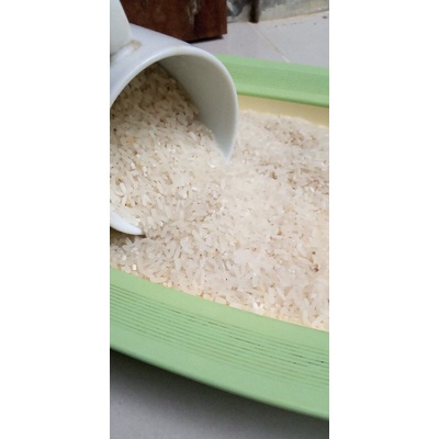 beras pulen varietas hibrida mapan 05