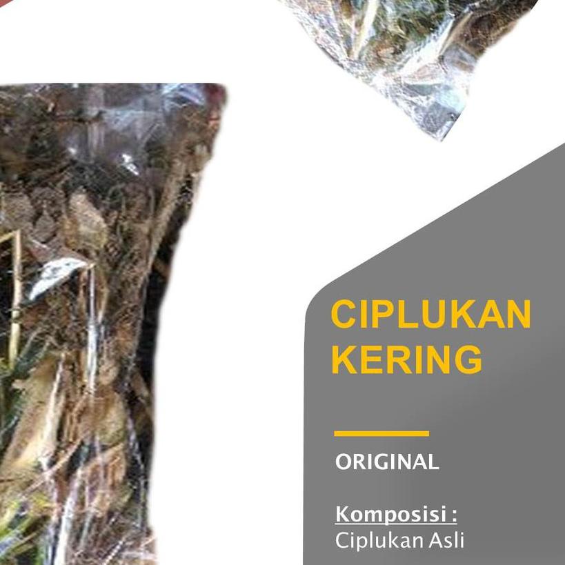 

♚ Daun Ciplukan Kering 1 kg Ceplukan (Morel Berry Leaf) ♪