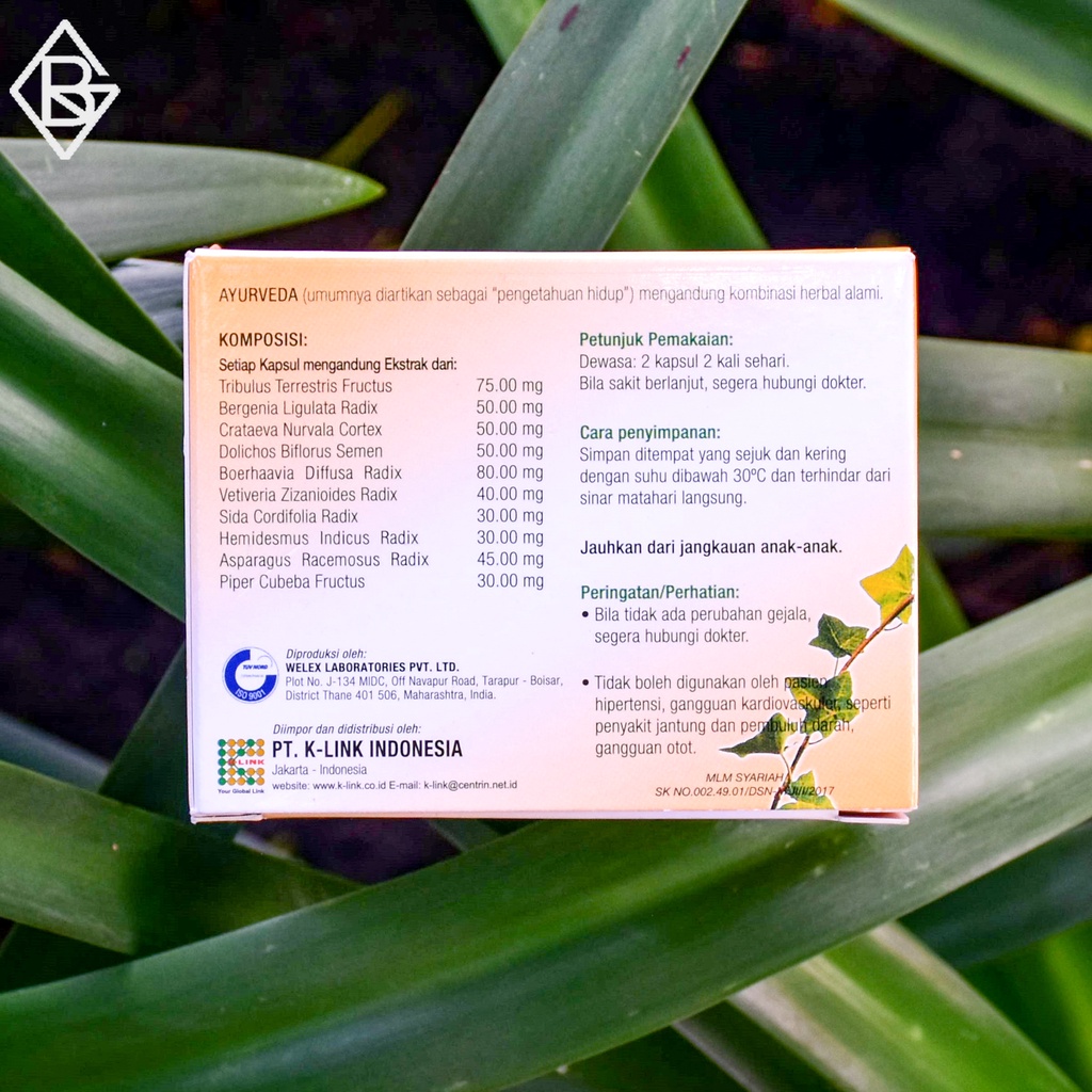 Ayurveda AyuRin plus 30 Capsules | Ayurin Klink | Memperlancar Pembuangan Air Seni | Original Klink