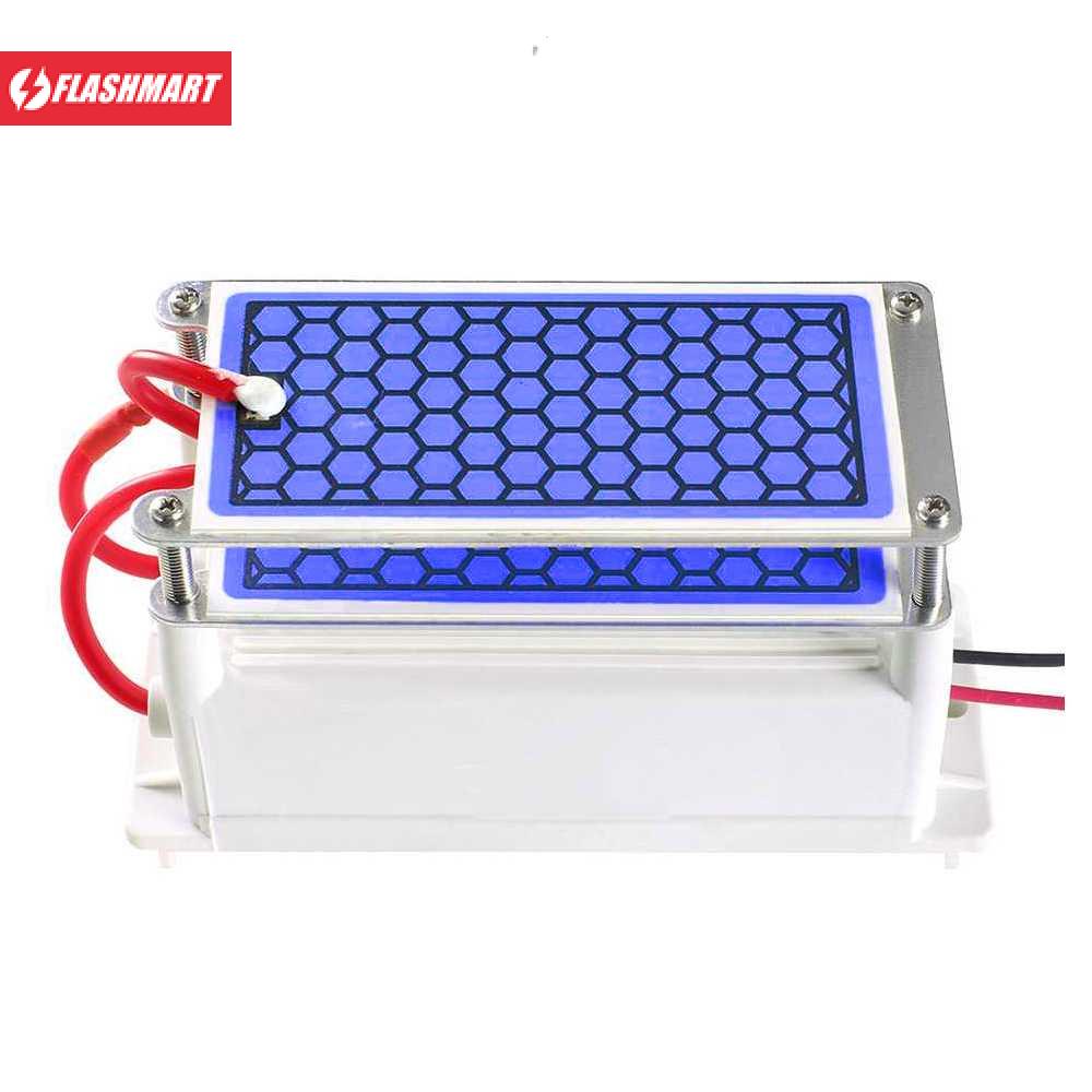 Flashmart DIY Ozone Generator 10g/h Portable Ceramic Plate Air Purifier - AC220V10gC