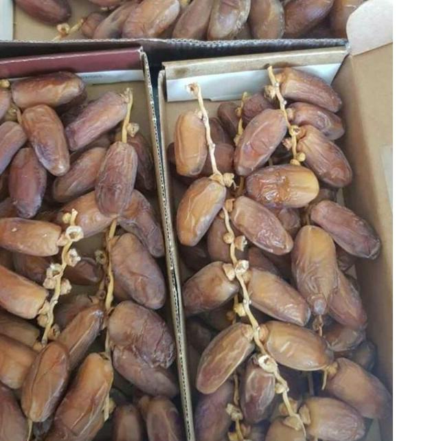 

☺ KURMA TANGKAI EL RIAD DATES 500gr/ TUNISIA TANGKAI ➩