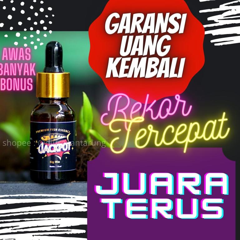 PALING DICARI Essen Ikan Lele,Essen Ikan Lele Galatama, Essen Ikan Lele Harian, Essen Ikan Lele Medi