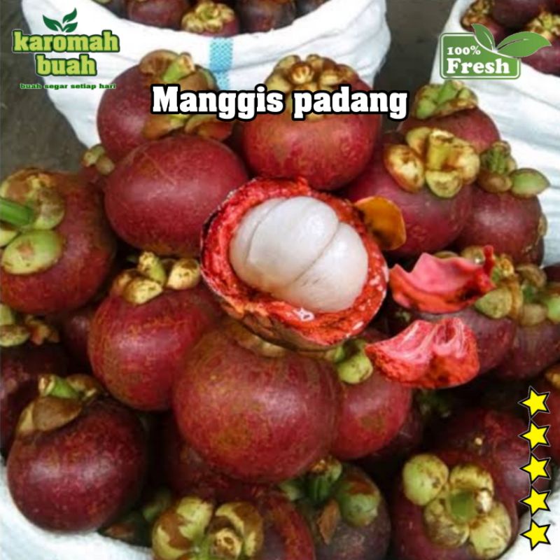

BUAH MANGGIS PADANG 1KG manis & INSYAALLAH tidak busuk dalam