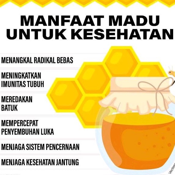 Madu Murni 1kg Pure Raw Honey Madu Asli Nektar Bunga Multiflora