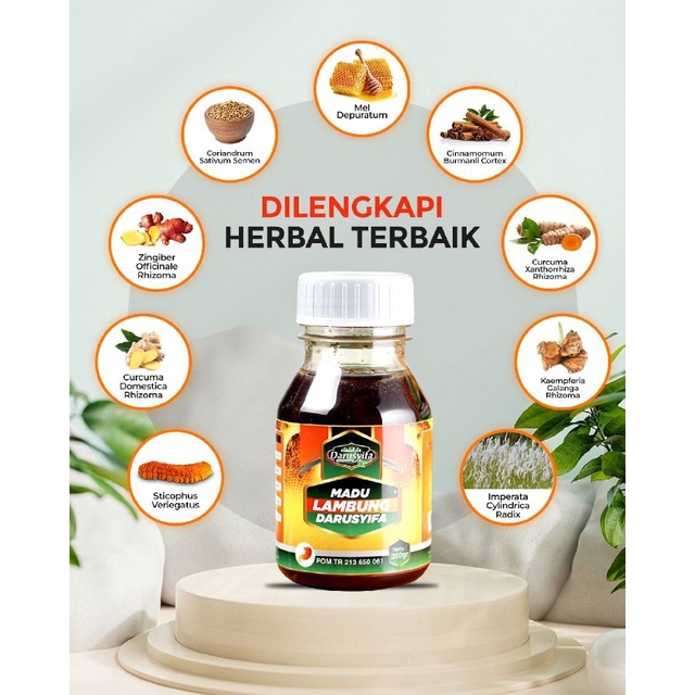 Madu Lambung Darusyifa 350 gr