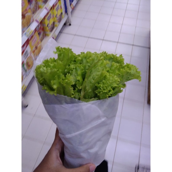 orang gabut