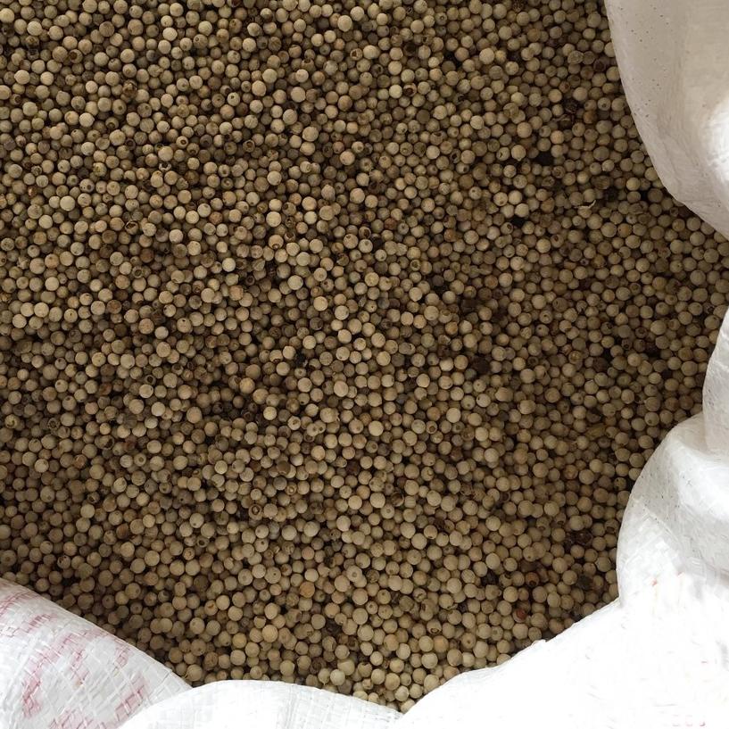 

○ Lada Putih Butir 1 Kg / Merica Putih Super / Lada Putih Alami ➶