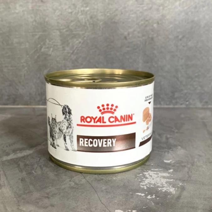 Royal Canin Recovery Kaleng Wet Food Anjing Kucing