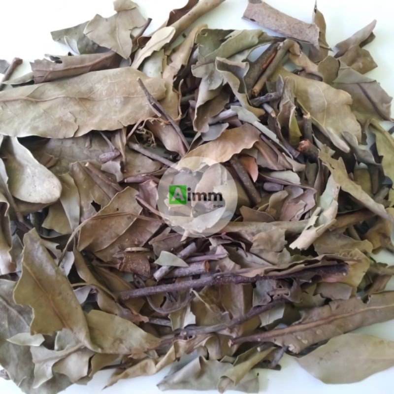 

BENALU TEH KERING - SIMPLISIA BENALU TEH - 100 GRAM