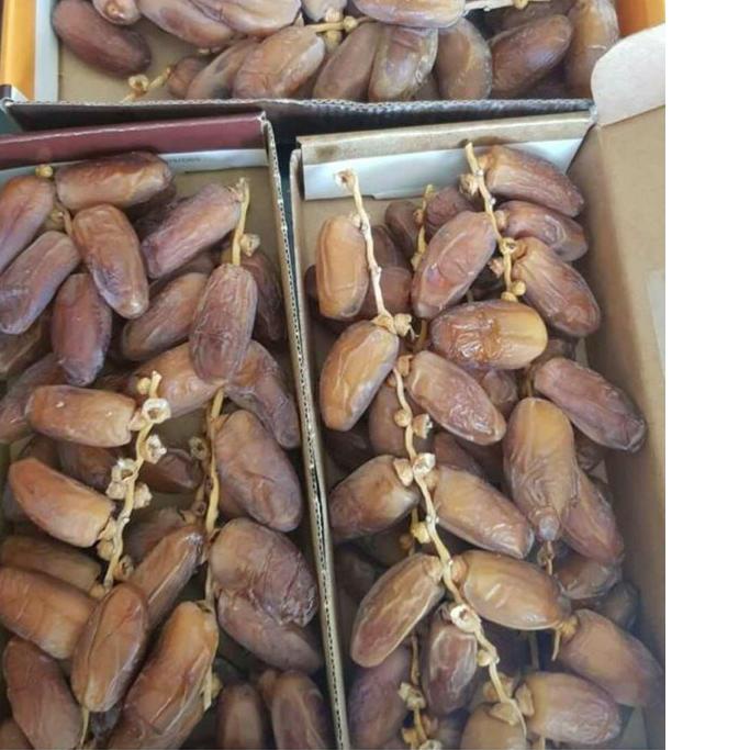 

➨ KURMA TANGKAI EL RIAD DATES 500gr/ TUNISIA TANGKAI ♬