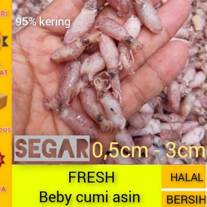 

➵ ikan asin cumi beby super ☺