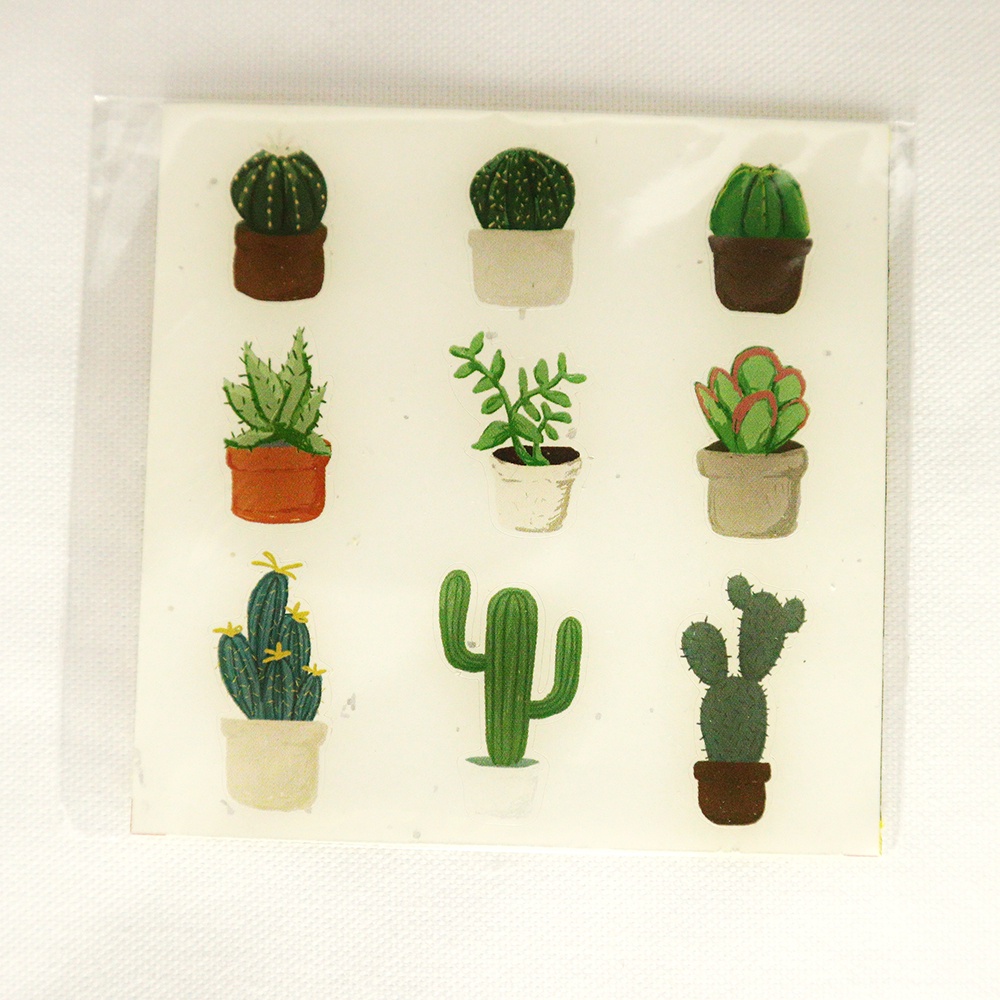 

Aesthetic Decorative Sticker - Green Cactus 7 x 7 Cm