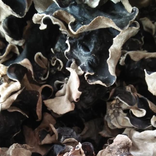 

✫ r Kuping Kering 1 kg Grade A Super / r Hitam Kering 1 KG Sortir ➪