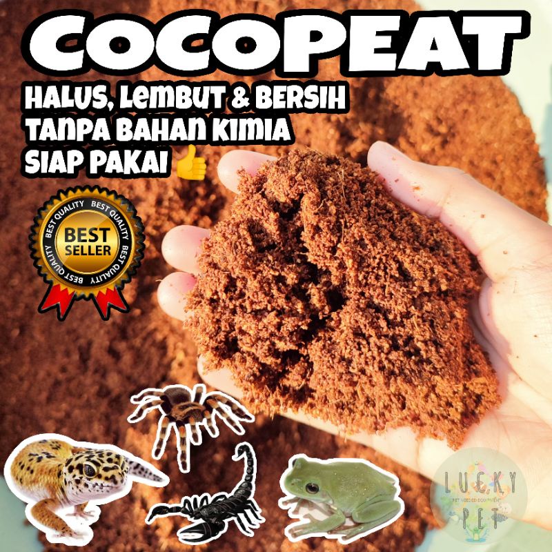 [1 KG] Cocopeat cocopit halus bersih alas kandang reptil serabut kelapa halus gecko tarantula insect