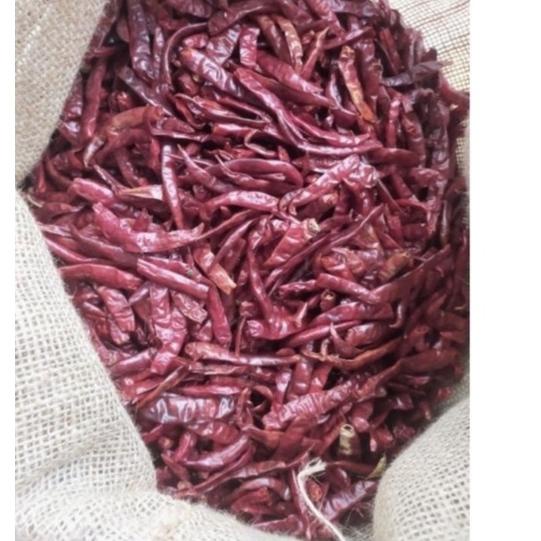 

☄ Cabe Rawit Teja Merah Kering 1 kg kilo IMPORT Dijamin Pedas Dan Fresh ✾