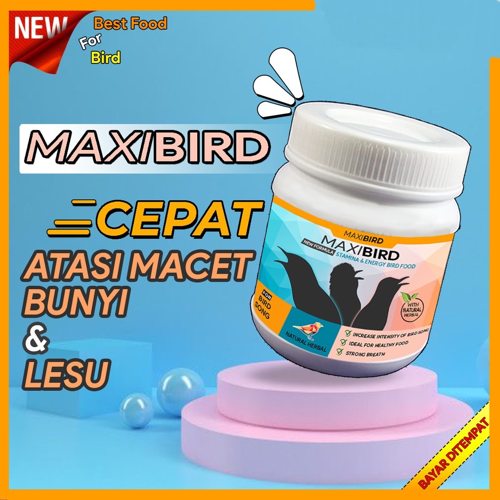 MAXIBIRD VOER BURUNG PAKAN BURUNG MAKANAN BURUNG PLECI CIBLEK SIRTU PRENJAK TLEDEKAN GELATIK Bisa un