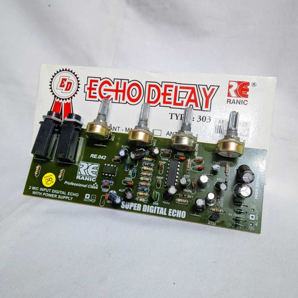 Kit Super Digital Echo+2 Mic RANIC Type RE.042