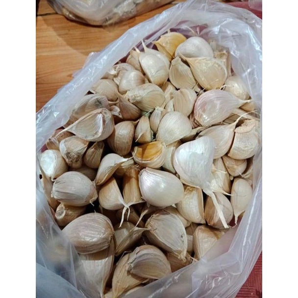 

Bawang Kating"TIDAK ADA YANG BUSUK