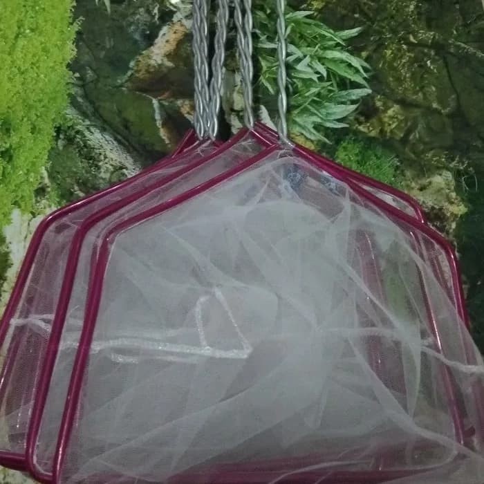 "'''] SEROK IKAN JUMBO 50CM MURAH