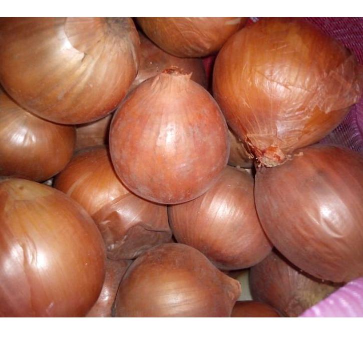 

Super Laris BAWANG BOMBAY UKURAN SEDANG 1KG
