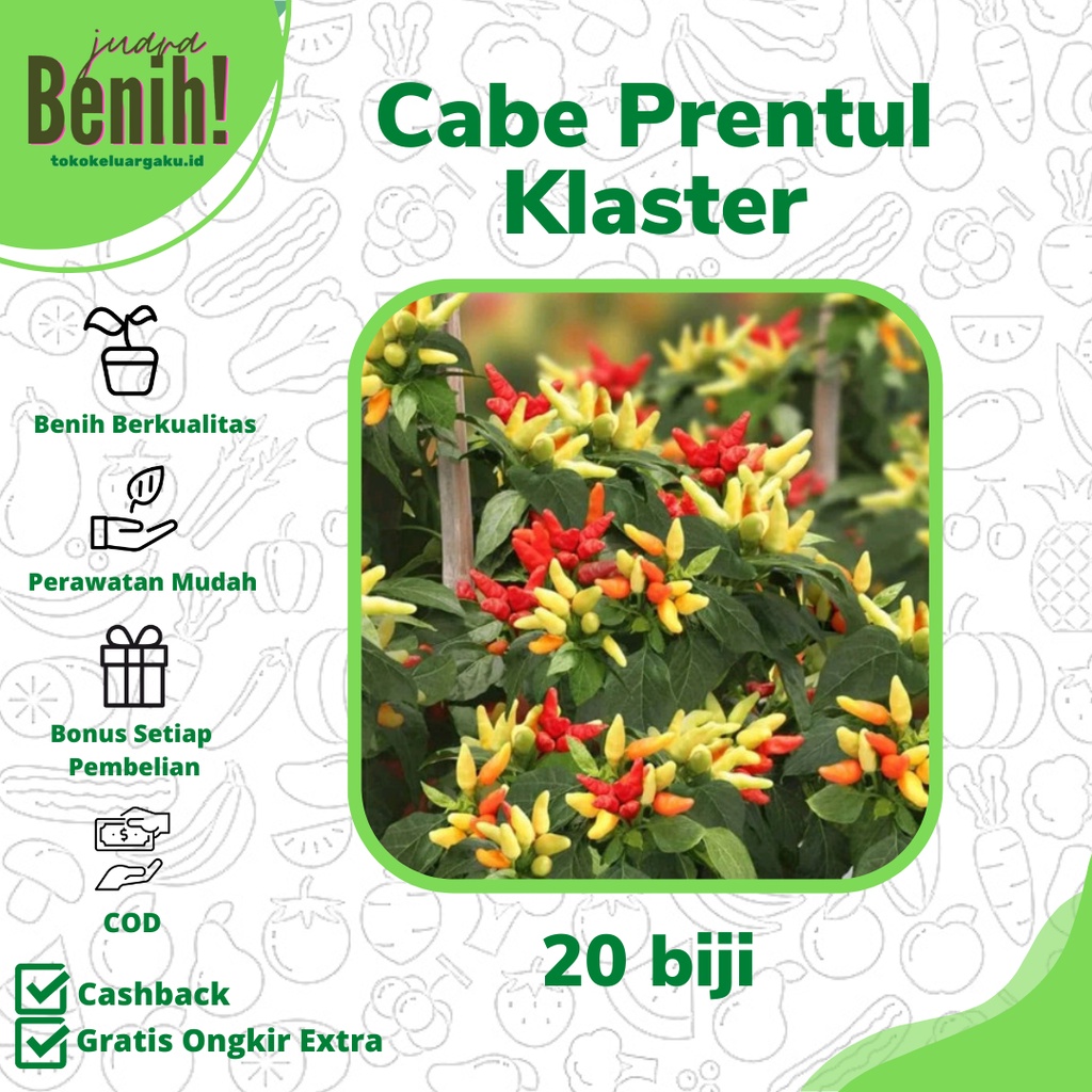 20 Benih Bibit Cabe Rawit Prentul Klaster Benih Cabai Rawit Merah Viral Super Buah Bergerombol Sayur
