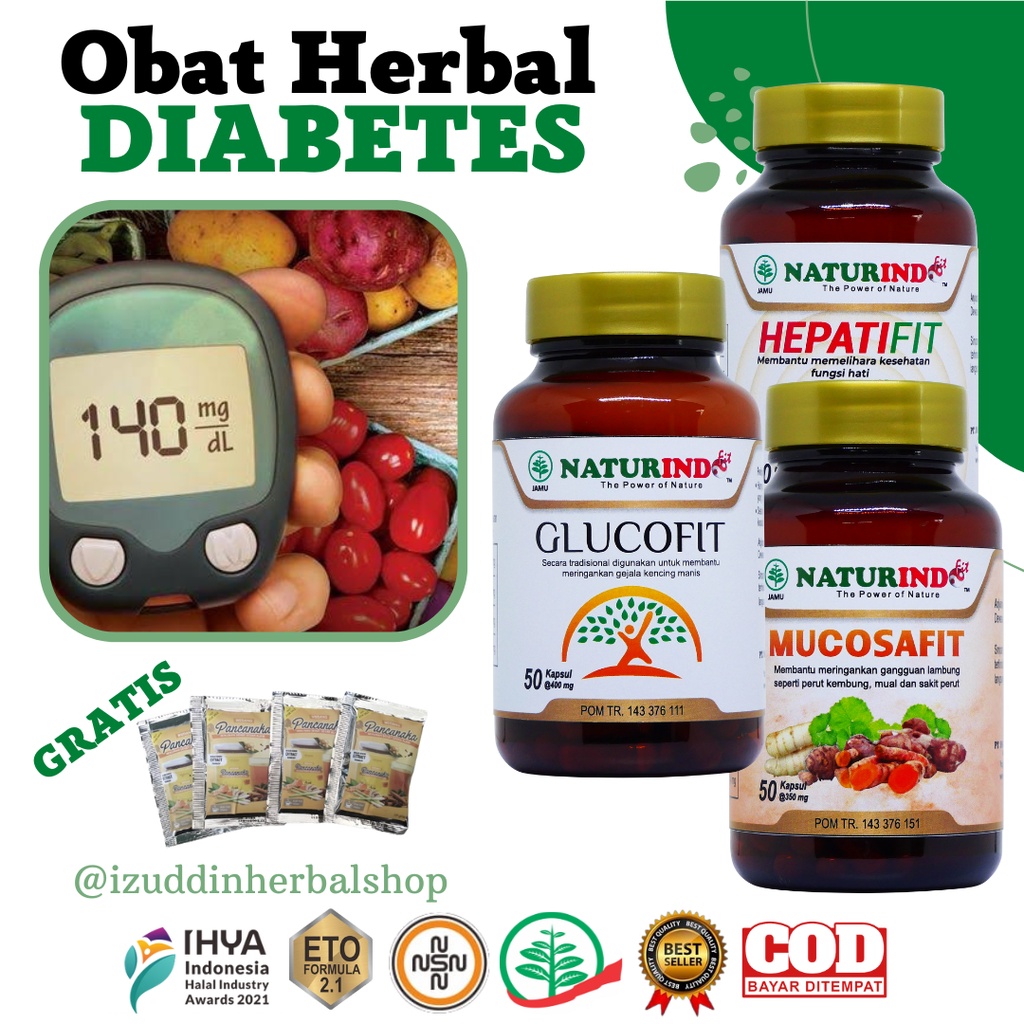 

Paket Obat Herbal Diabetes Diabet Gula Aman Alami