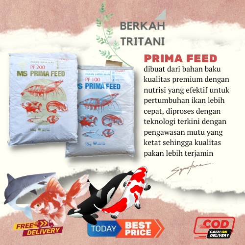 Pelet Ikan PF 100 PF 200 5Kg Pakan Benih Ikan Protein 40%