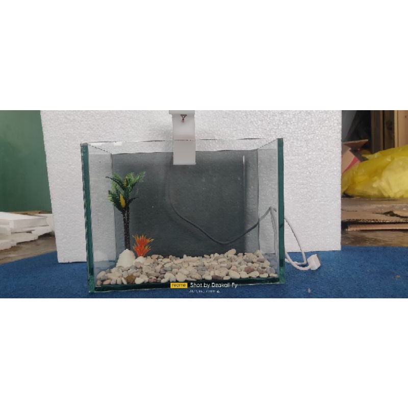Aquarium Chana Background hitam plus asesoris