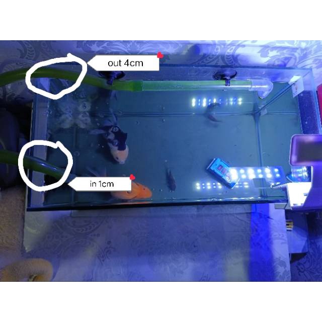 Tutup Akuarium Akrilik PxL 40x20cm