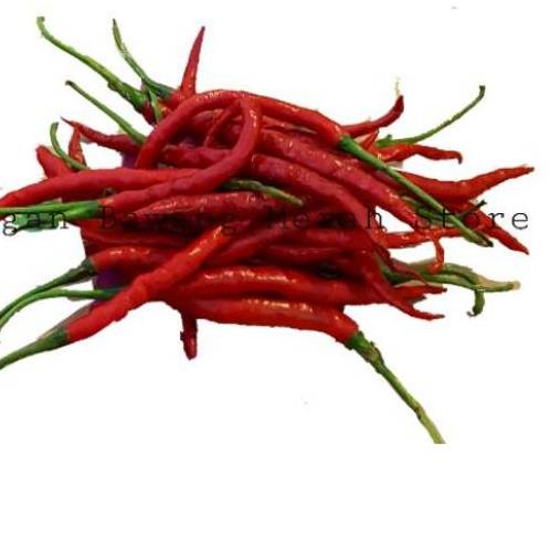 

◙ Cabe merah keriting 1 kg ☏