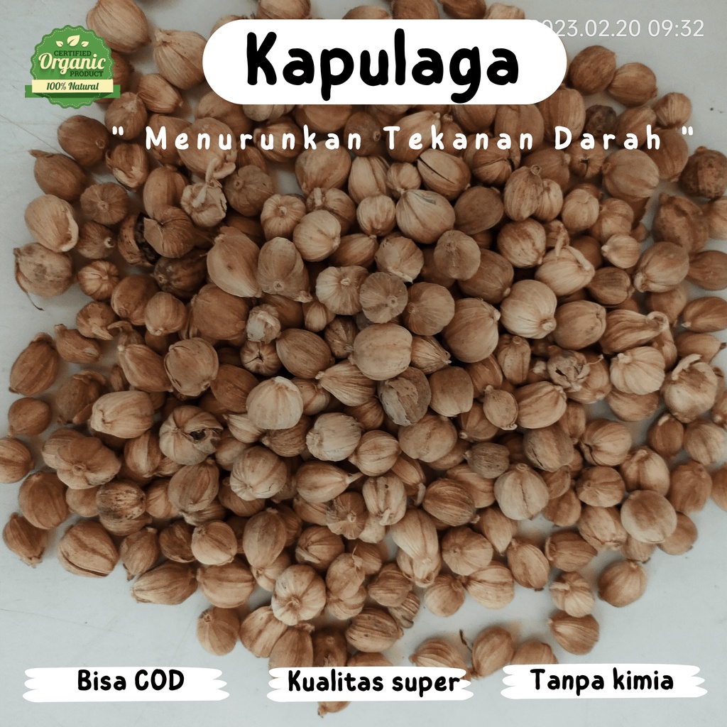 

Kapulaga kering super