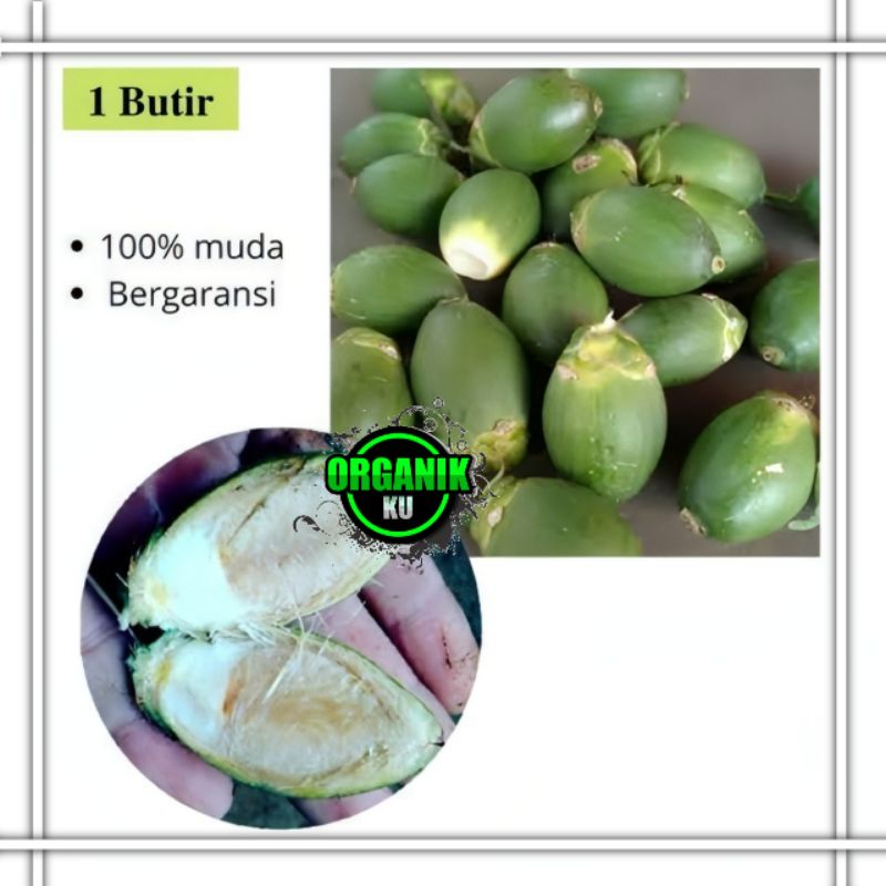 

jual buah pinang muda 1kg segar