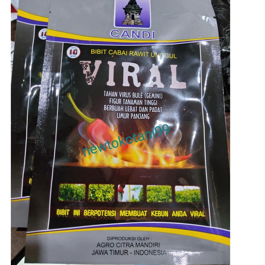 ➢ Benih cabe VIRAL 10 gram cabe rawit viral 10gr dari agro citra mandiri ♣