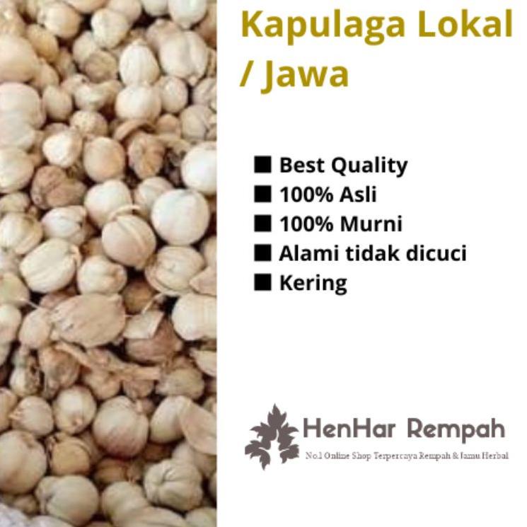 

Lihat Disini Kapulaga Lokal Kapulaga Jawa kering 50 gr & 100 gr