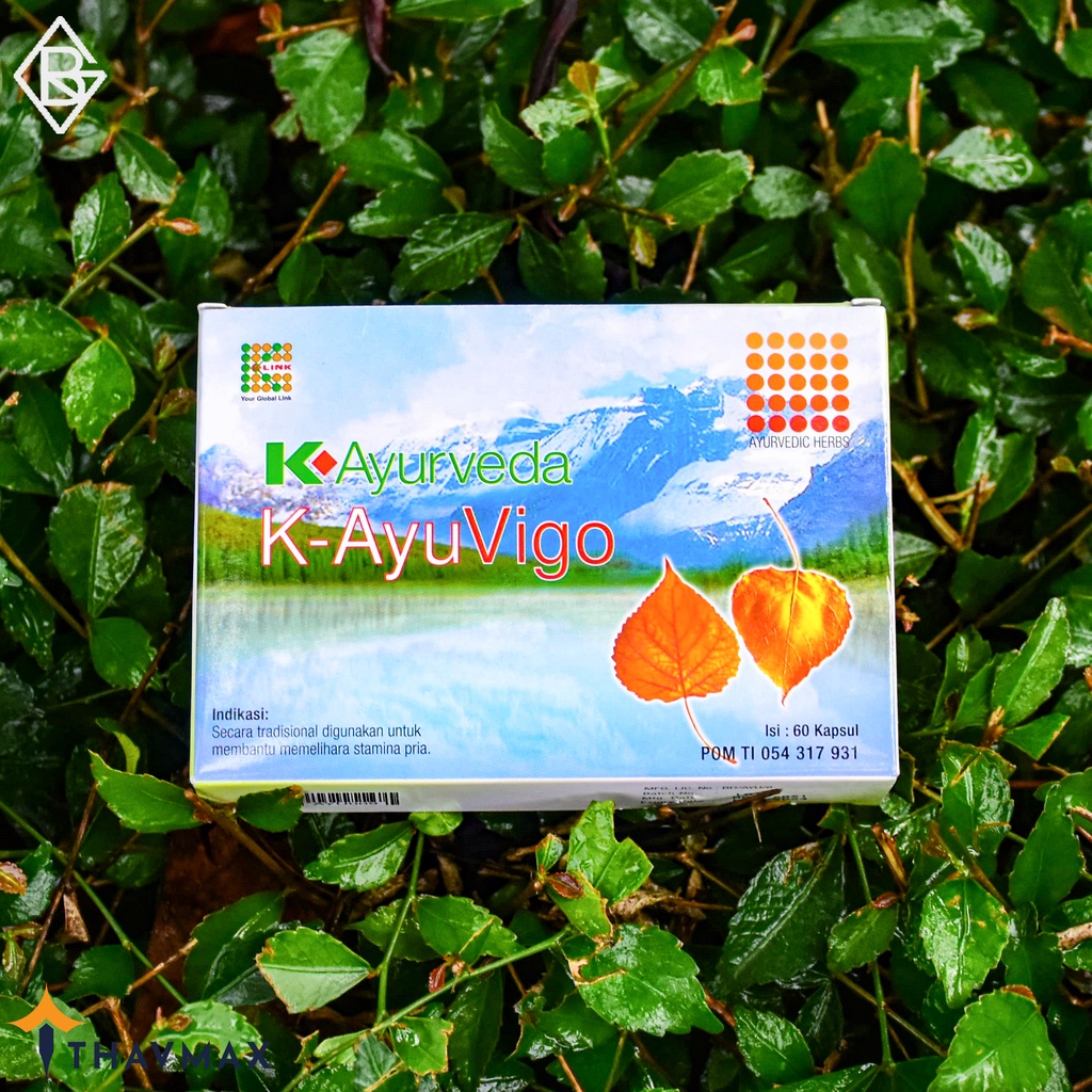 K Ayuverda AyuVigo 60 Capsules ORIGINAL K-LINK | AYU VIGO KLINK