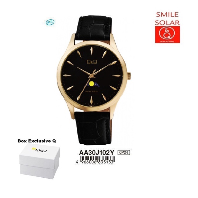 Jam Tangan Pria Classic Casual Kulit Leather Original Q&amp;Q QnQ QQ AA30 AA30J Series