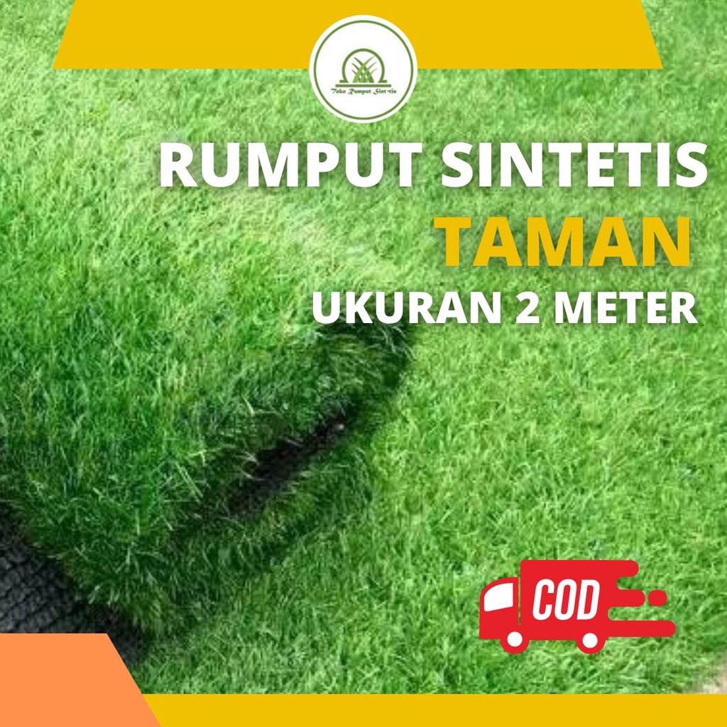 Rumput Sintetis Meteran 200x100 Tebal 2cm Untuk Taman Bisa kena Hujan Dari Toko Rumput Sintetis