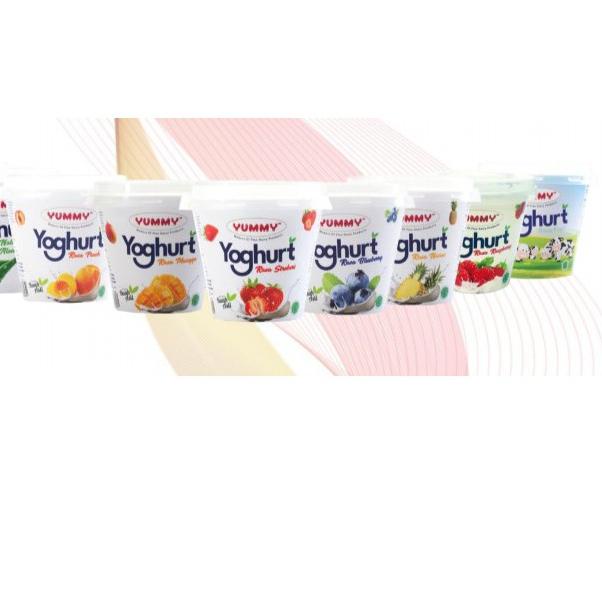 

➮ Yummy Yoghurt Cup 80 gram per 6 pcs ✺