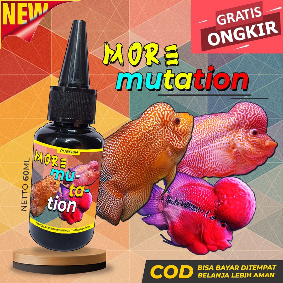 Vitamin Ikan Louhan Obat Mutasi Louhan Cencu Kamfa Golden Base SRD Ori 60ml