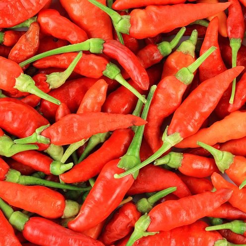

Cabe Jablay cabai merah segar murah cikarang utara cabe jablay merah