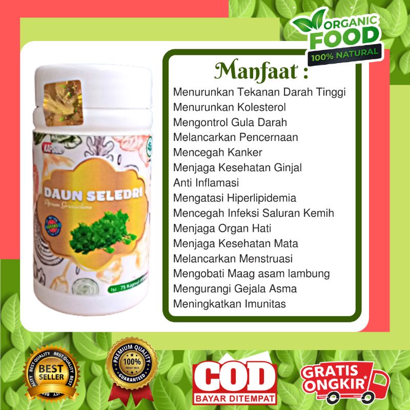 Kapsul Herbal Daun Seledri