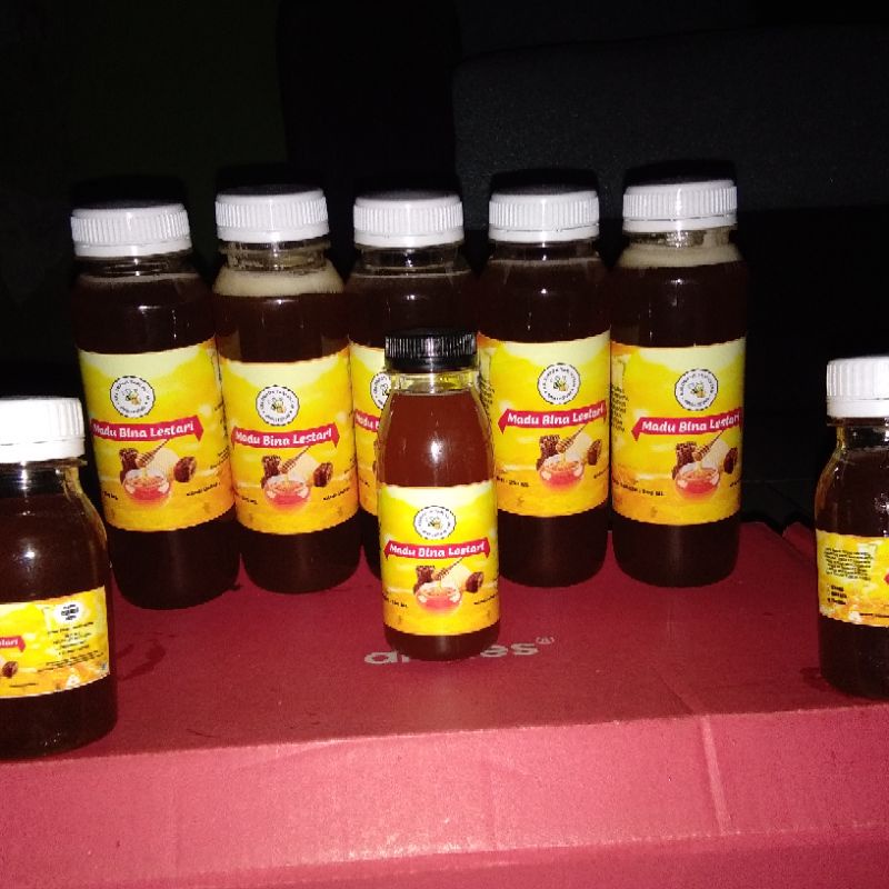 madu trigona