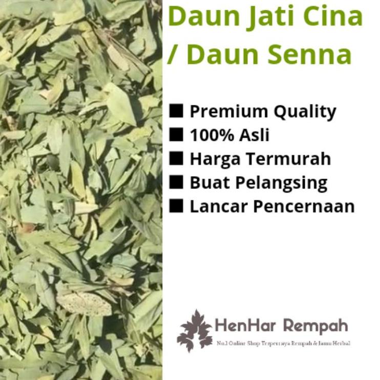 

Wow banget Daun Jati Cina / Daun Senna untuk pelangsing 1 Kg