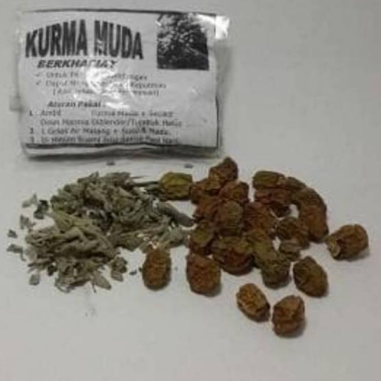 

➻ Kurma Muda Kering Plus Daun Marmia ✽
