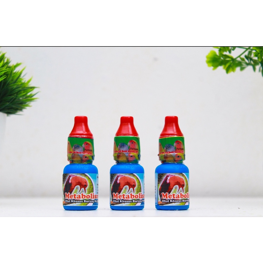 Metabolis Dr.edi Asli