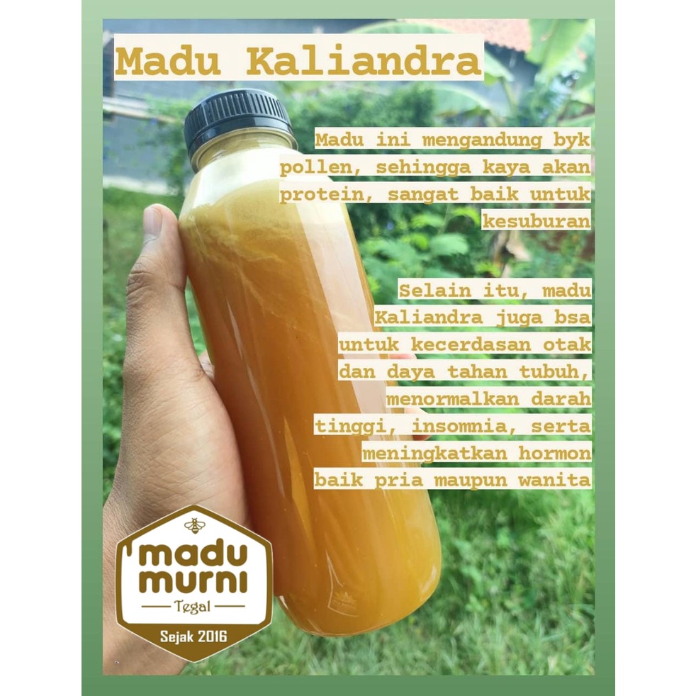 

Madu Murni Kaliandra | Madu Murni Tegal