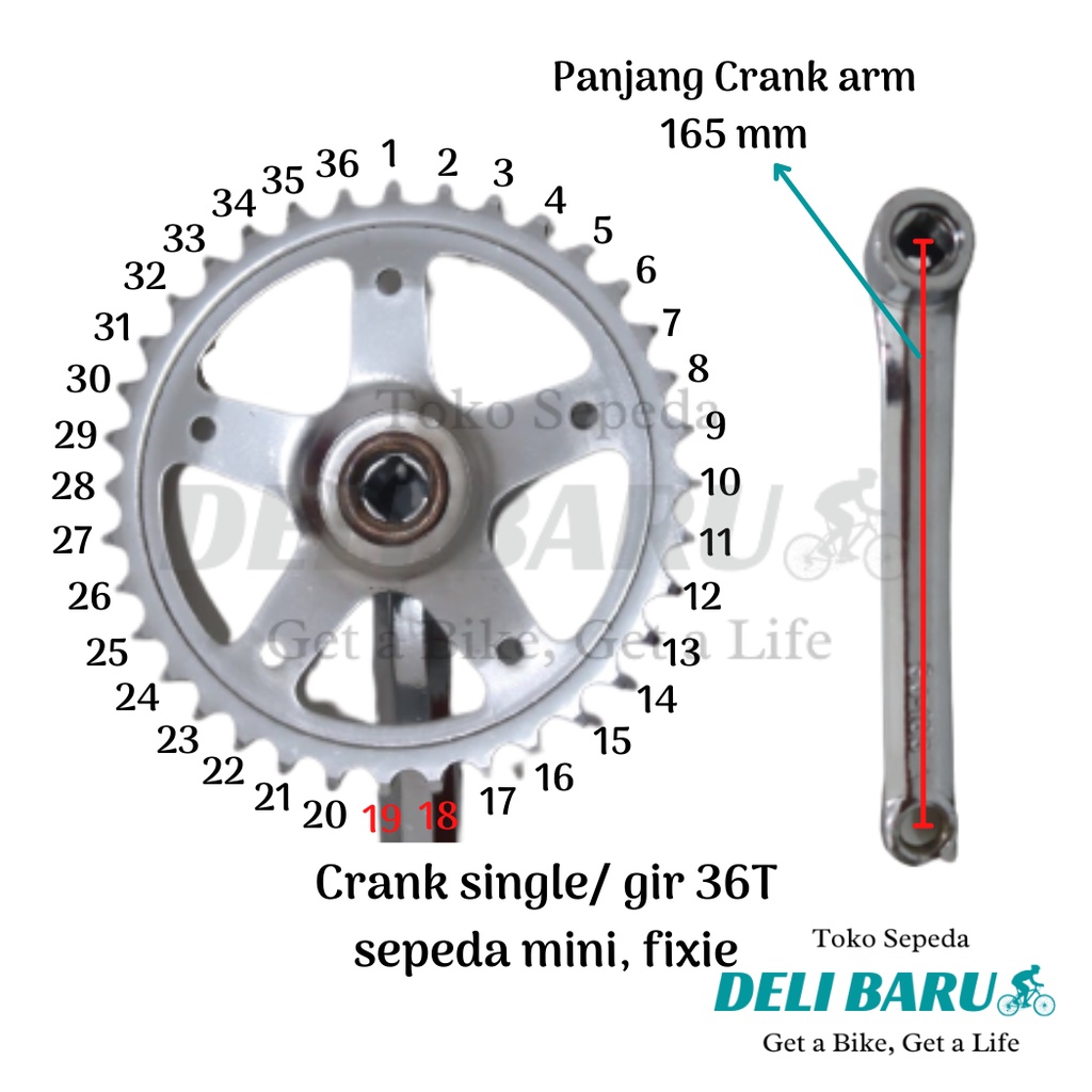 Deli baru Crank single speed 36T CP gir tengah chrome model as kotak sepeda mini fixie