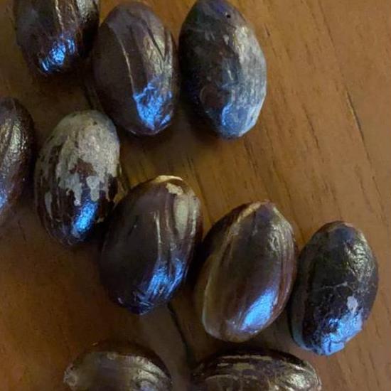

✯ Pala Lonjong / Pala kulit asal Papua dapat 1kg. Paling Murah ☆
